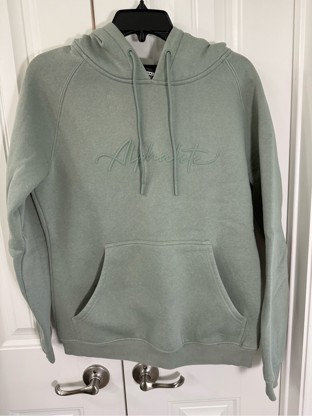 Alphalete Hooded Pullover in Sage Green